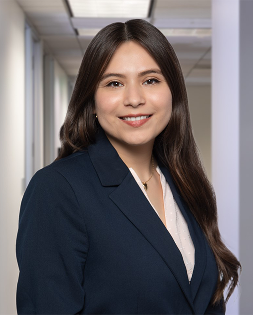 Karina J. Silva
